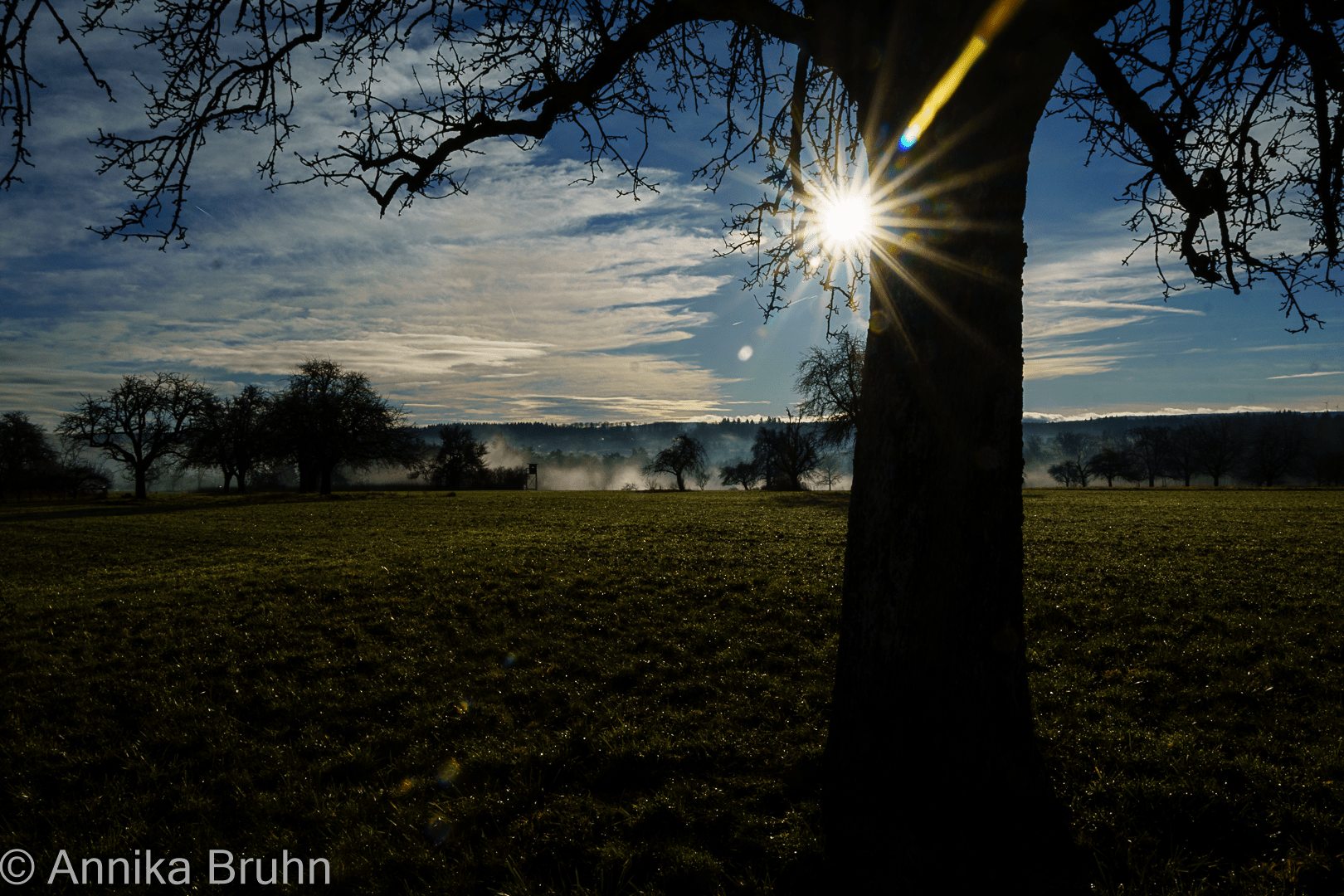 Sonniger Morgen!